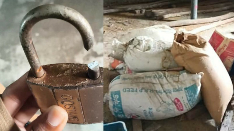তানোরে যুবদল নেতার সরিষা মিলে ডাকাতি, ১০ লাখ টাকার মালামাল লুট