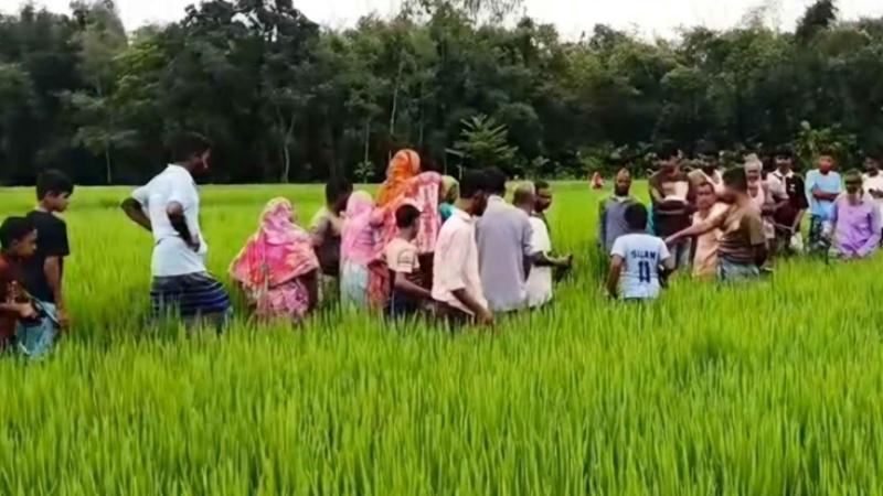 দেবীগঞ্জে ধানক্ষেত থেকে এক নারীর মরদহ উদ্ধার