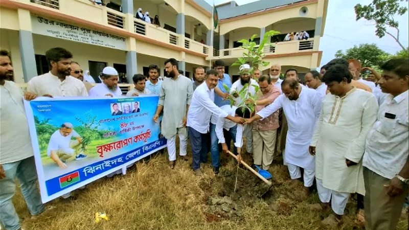 বিএনপির প্রতিষ্ঠাবার্ষিকীতে ঝিনাইদহে বৃক্ষরোপণ ও চারা বিতরণ