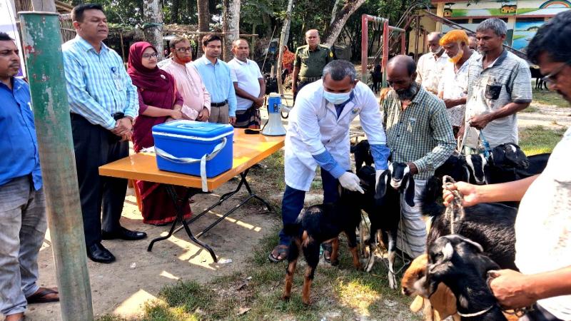 নলডাঙ্গায় বিনামূল্যে পিপিআর টিকাদান কার্যক্রমের উদ্বোধন