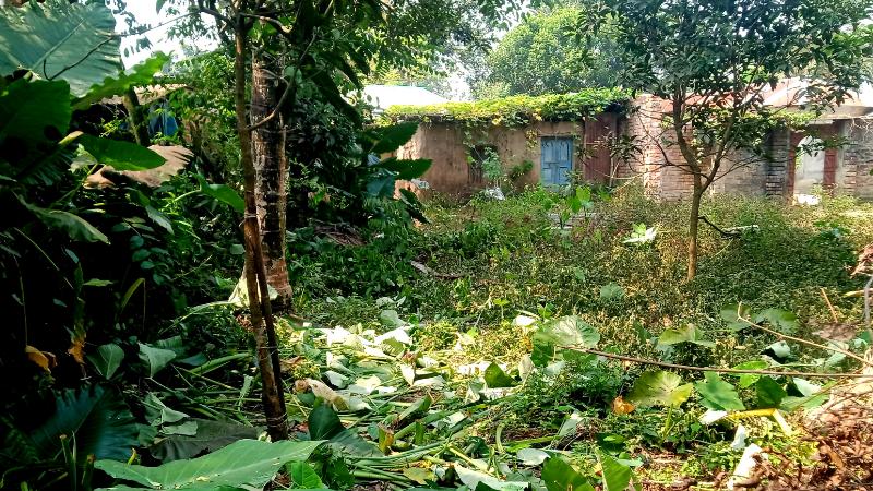 ফুলবাড়ী নিরাপত্তাহীনতায় প্রবাসী ও অবসরপ্রাপ্ত সেনা পরিবার, প্রাণ নাসের হুমকি
