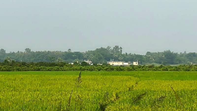 নওগাঁ ও জয়পুরহাট সীমান্তে ৭ জনকে বিএসএফের পুশইন চেষ্টা