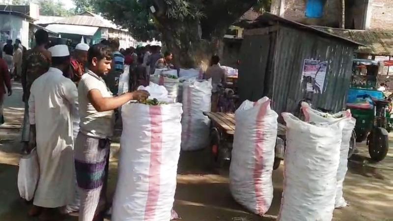 জমে উঠছে টুকুরিয়ার কাঁচামালের পাইকাড়ী বাজার